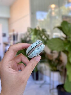 Fancy Flavors Bakeshop & Cafe by null