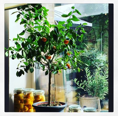 Caffè Cosi - La Trattoria de Bruno Caironi by null