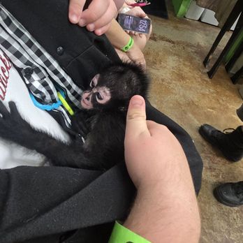 Branson's Promised Land Zoo - Zoos Near Me - Branson, Missouri