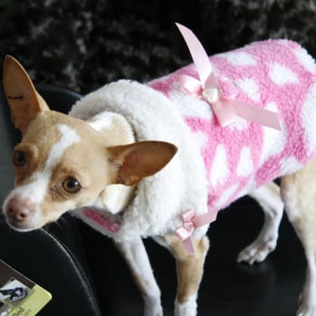 PoshPaws - Great doggie wear for your 4-legged friend!! - Pet Services Near Me - Salt Lake City, Utah PoshPaws - Great doggie wear for your 4-legged friend!! - Pet Services Near Me - Salt Lake City, Utah