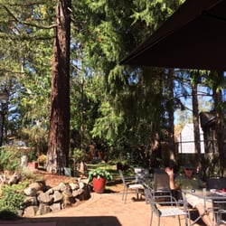 Michael's Cafe - Great spot, lovely garden great food we especially liked the bruschetta and the lemon tart was wonderful