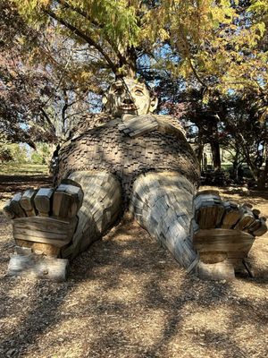 Bernheim Forest and Arboretum by null