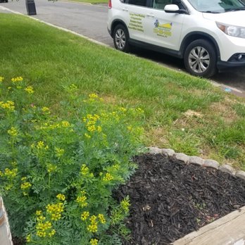 Hortensia Cleaning Service - Working hard - Home Cleaning Near Me - Middlesex, New Jersey Hortensia Cleaning Service - Working hard - Home Cleaning Near Me - Middlesex, New Jersey
