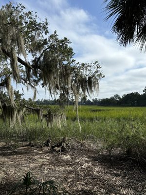 Skidaway Island State Park by null