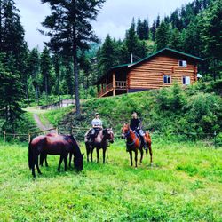 Petty Creek Ranch - Petty Creek Ranch is a Catholic Wilderness Experience Program for Troubled Teens.