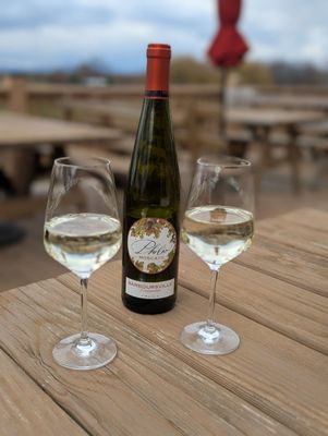 Barboursville Vineyards by null