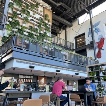 Provision - Coffee & Tea Near Me - Phoenix, Arizona Provision - Coffee & Tea Near Me - Phoenix, Arizona