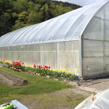 Beth’s Landscaping - a greenhouse with flowers in the foreground - Landscaping Near Me Beth’s Landscaping - a greenhouse with flowers in the foreground - Landscaping Near Me
