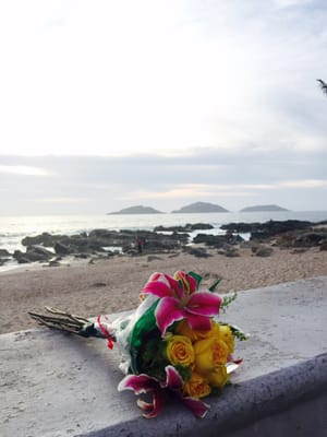 Del Malecón by null