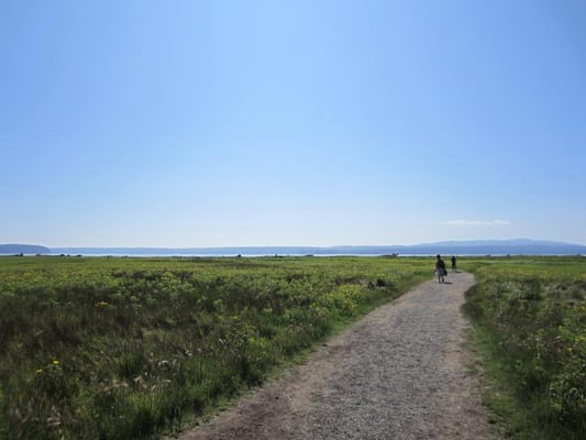 Dosewallips State Park by null