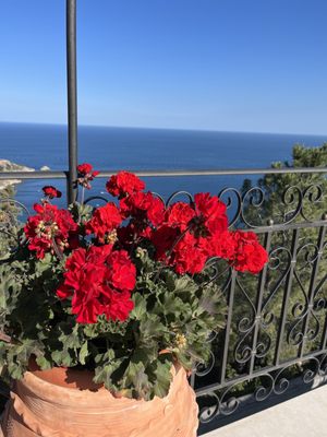 San Domenico Palace, Taormina, A Four Seasons Hotel by null