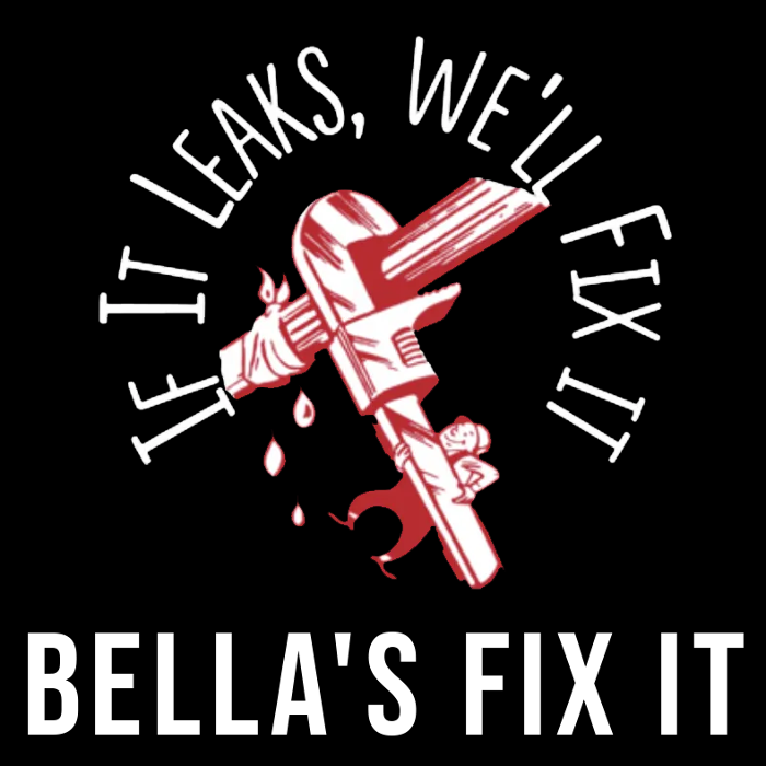 Slide of Bella's Fix It