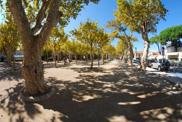 Place des Lices by null