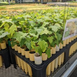 Oxbow Farm & Conservation Center