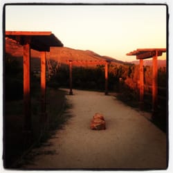 The Walking Trail