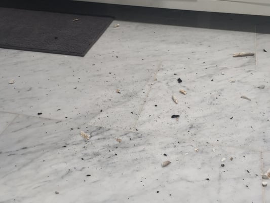 Olympic Roofing Logo