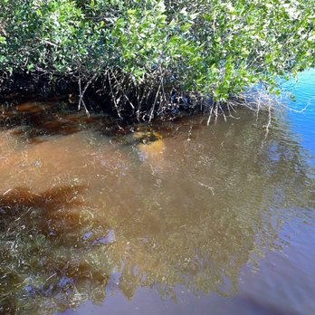 Manatee Park - Parks Near Me - Fort Myers, Florida Manatee Park - Parks Near Me - Fort Myers, Florida