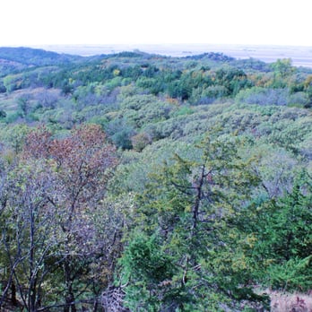 The Spot : Preparation Canyon Overlook - Loess Hills Forest - Hiking Near Me - Moorhead, Iowa