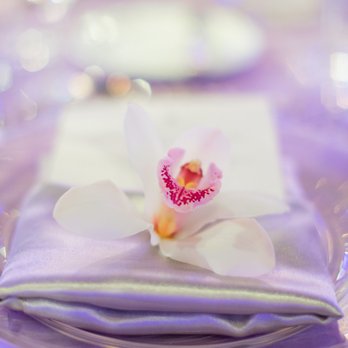 Luna Gardens Events - Association of Bridal Consultants at the Fourseasons - Westlake Village - Florists Near Me - Los Angeles, California Luna Gardens Events - Association of Bridal Consultants at the Fourseasons - Westlake Village - Florists Near Me - Los Angeles, California