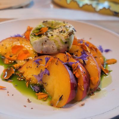 Kahlo & Loyal by null