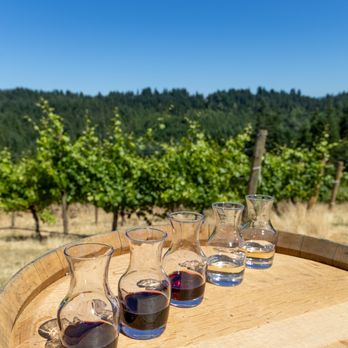 Sip, Savor, Explore Oregon - A perfect flight in the Vineyard. - Wine Tours Near Me Sip, Savor, Explore Oregon - A perfect flight in the Vineyard. - Wine Tours Near Me