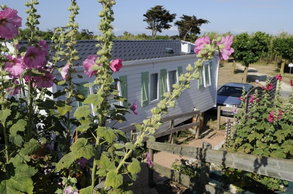 Phare des Baleines by null