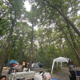 4 campsites in one photo, packed in next to each other