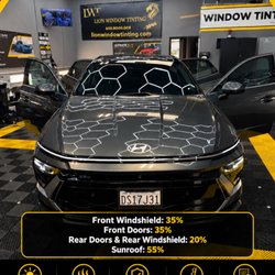 Lion Window Tinting