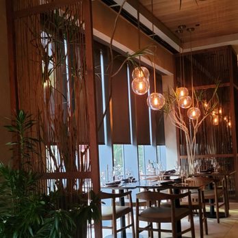 Kaori - Cool vibe - Asian Fusion Near Me - Miami, Florida Kaori - Cool vibe - Asian Fusion Near Me - Miami, Florida