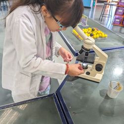 Little Beakers - The Woodlands - Slides under the microscope