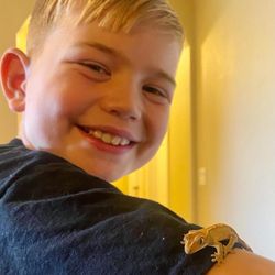 Hawleys Homebred Reptiles - Our new family member