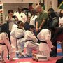 Photo of McCarthy's Taekwondo Self Defense
