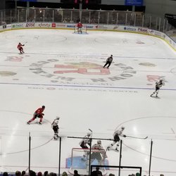 Rockford Icehogs - Rockford Icehogs