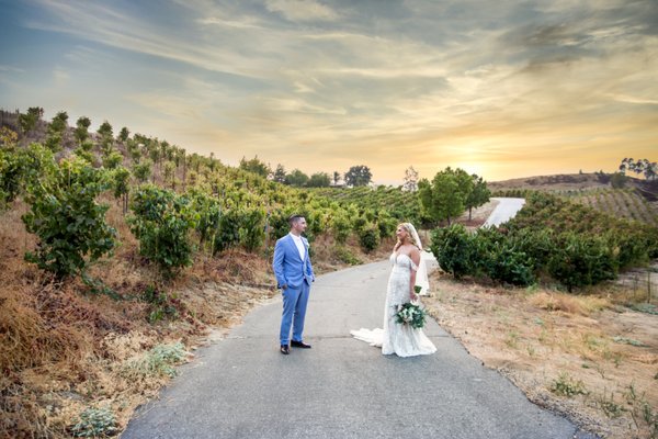Longshadow Ranch Winery by null