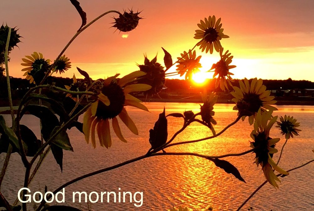 LAZY H CAMPGROUND Updated October 2024 32 Photos 701 Hwy 12 S