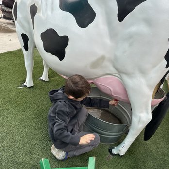 Imagine U Children's Museum - Dairy farm space outside; manual milking - Children's Museums Near Me - Visalia, California Imagine U Children's Museum - Dairy farm space outside; manual milking - Children's Museums Near Me - Visalia, California
