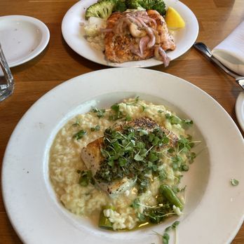 Zelda's - Halibut & Meyer lemon risotto, and the Grilled Salmon - Bars Near Me - Capitola, California
