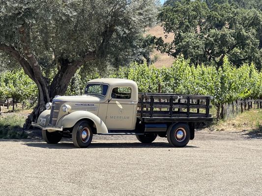 Merriam Vineyards by null