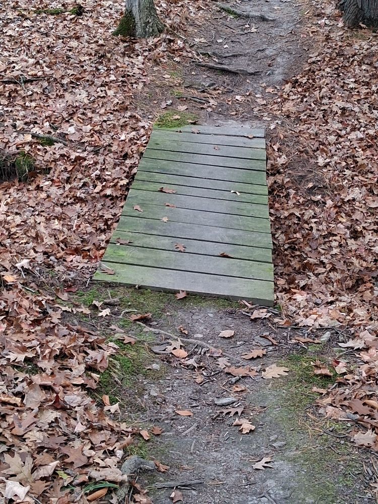 Vetter Trailhead Logo