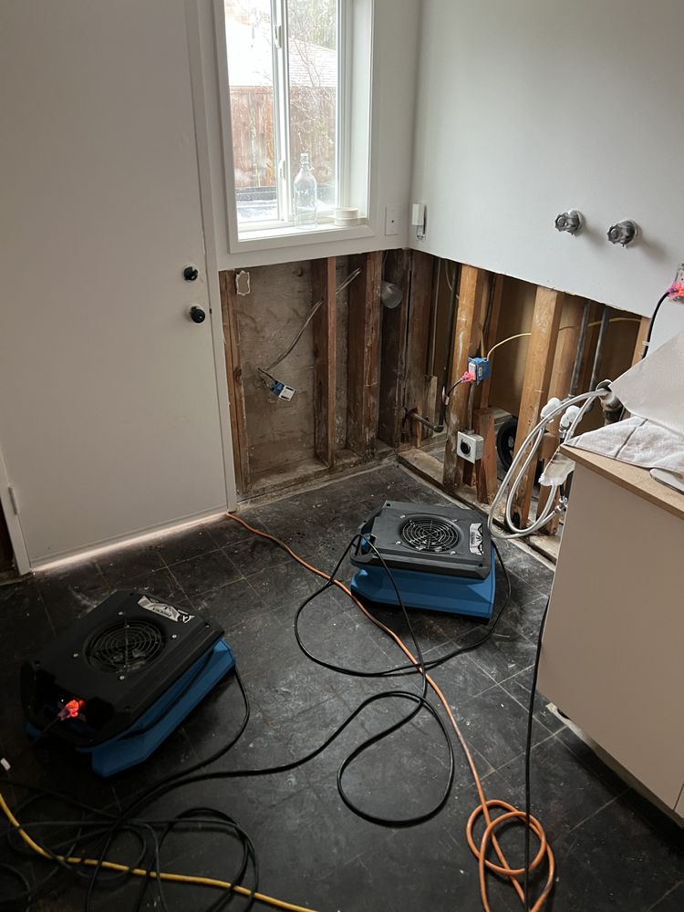 AXION Mold & Water Damage Restoration - mold inspector in Aloha, OR