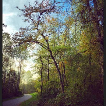 Tynehead Regional Park - Gorgeous park! - Hiking Near Me Tynehead Regional Park - Gorgeous park! - Hiking Near Me