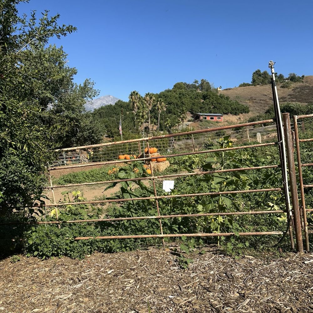 Greenspot Farm - Farmers Market Near Me - Mentone, California