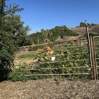 Greenspot Farm - Farmers Market Near Me - Mentone, California