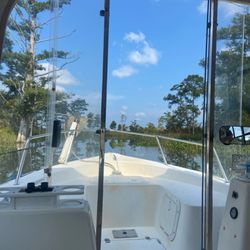 Captain Gill's River Cruises - Still able to see whilst getting some shade inside the boat