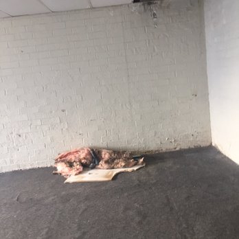 Concierge - This lovely pile of ceiling has been on the floor for 6 months - Apartments Near Me - Rocky Hill, Connecticut