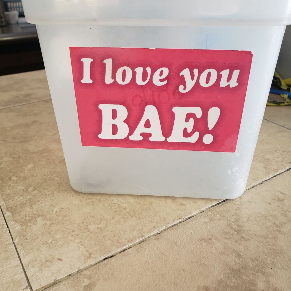 i love you bae