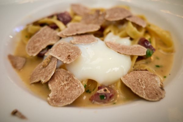 Andiron Steak & Sea by null