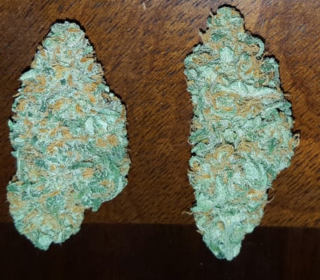 Greenlight Dispensary Las Vegas by null