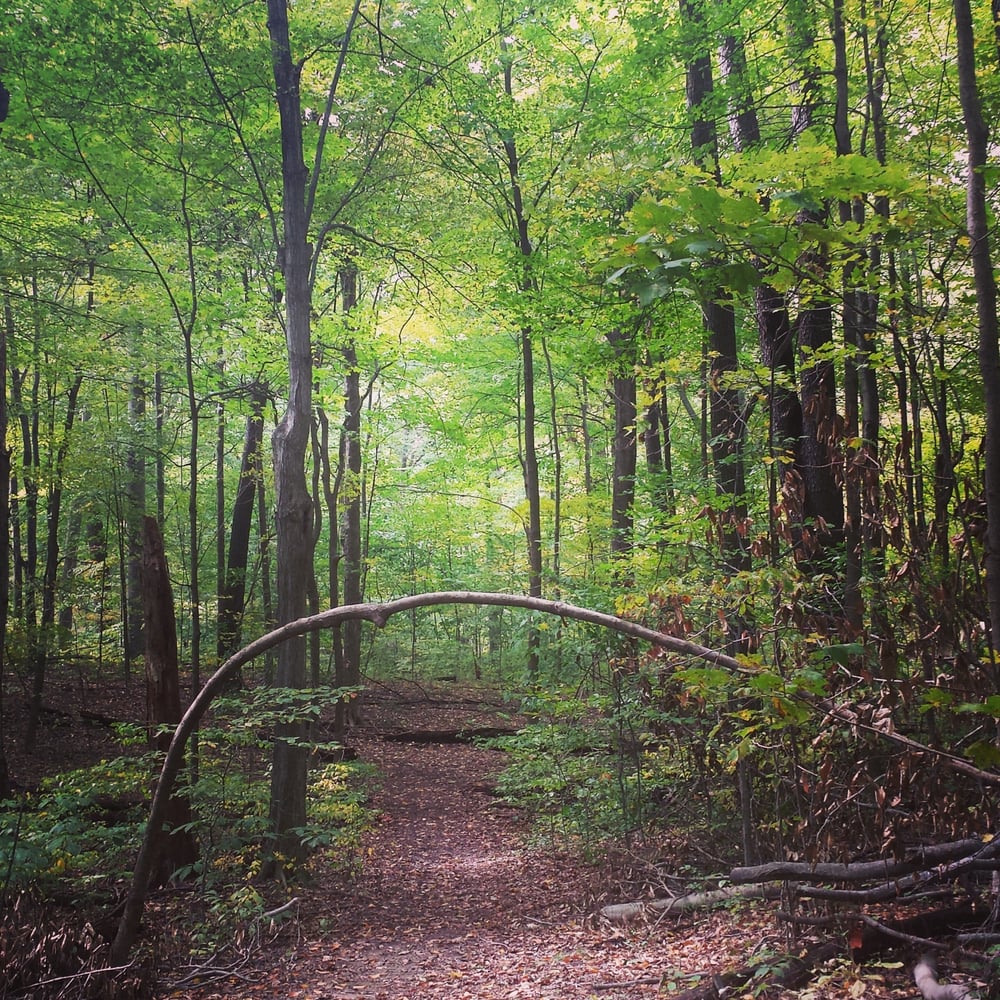 GAHANNA WOODS Updated May 2024 1501 Taylor Station Rd, Columbus