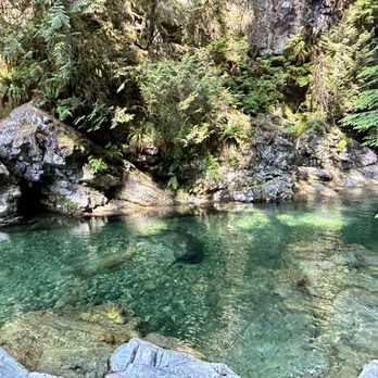 Lynn Canyon Park - The Twin Falls part of the park is popular, but much quieter than the 30 Foot Pool area. - Parks Near Me - North Vancouver, British Columbia